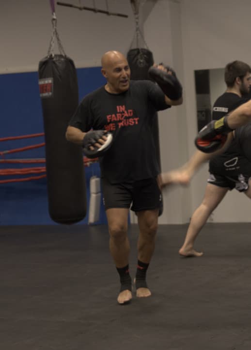 Farzad Faily, Grundare & huvudinstruktör på Tao Kampsportcenter